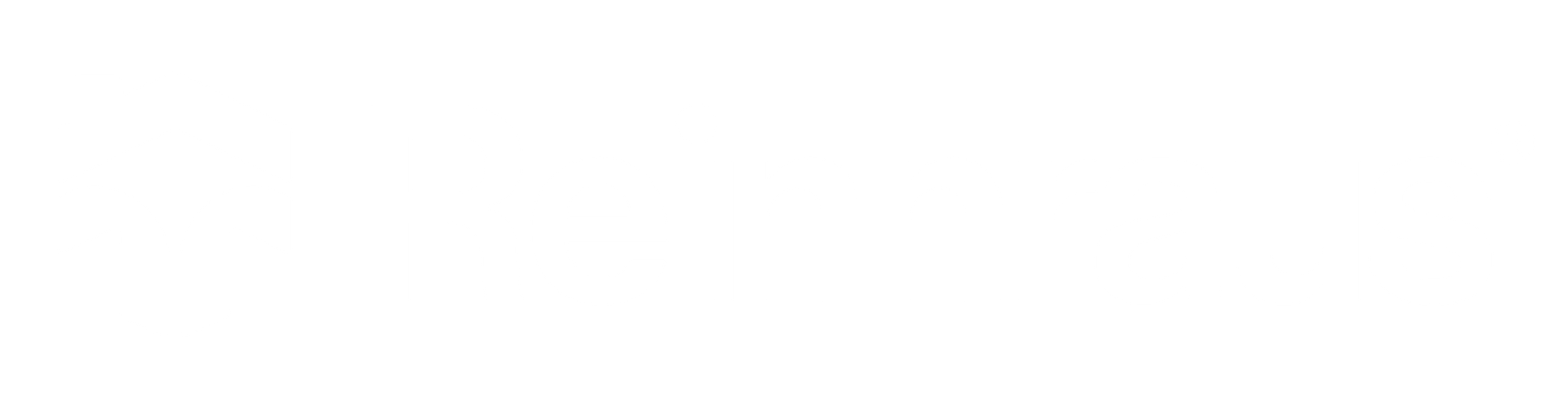Reinnraus